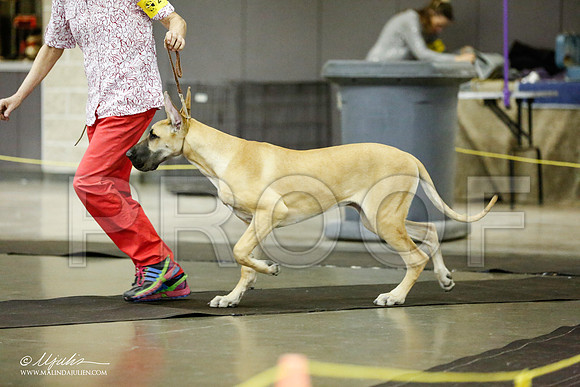 _RH_1688-BeltonJan2015IABCA-HR3
