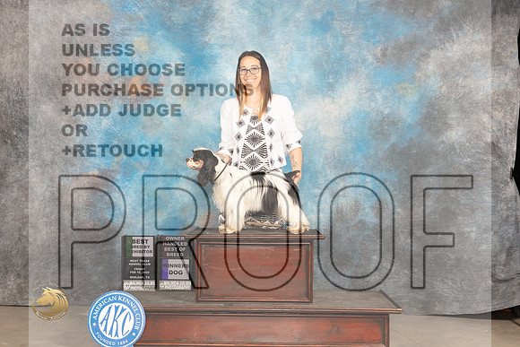 Cocker Spaniel Parti #5 Fri WDOHBOBBB# Judge Del Richards_JP_0555_MIDLAND2024_HR3