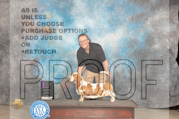 Basset Hound #6 Thur OHG1 Judge Gloria Kerr r_JP_0633_MIDLAND2024_HR3