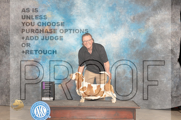 Basset Hound #6 Thur OHG1 Judge Gloria Kerr r_JP_0629_MIDLAND2024_HR3
