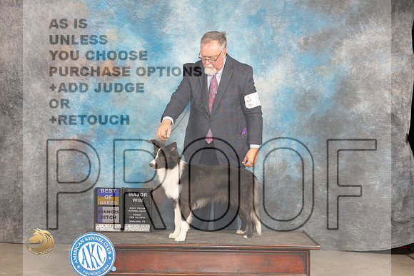 Border Collie #24 Fri WBBOB Judge Carolyn Herbel_JP_0621_MIDLAND2024_HR3