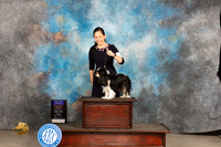 Cavalier King Charles Spaniel #14 Fri BOBOHBOB Judge Donnelle Richards