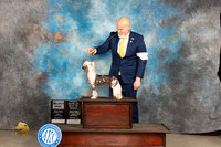 Chinese Crested #5 Fri OHBOBSD Judge Donnelle Richards