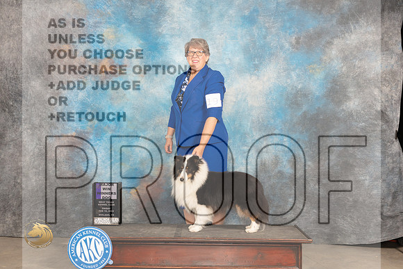 Shetland Sheepdog #19 Fri WDM Judge Carolyn Herbel_JP_0612_MIDLAND2024_HR3