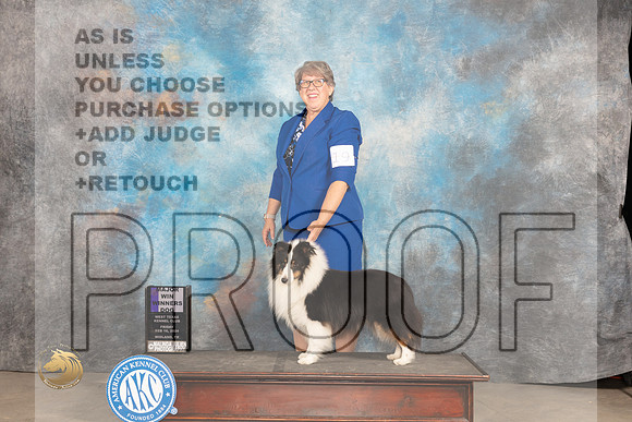 Shetland Sheepdog #19 Fri WDM Judge Carolyn Herbel_JP_0618_MIDLAND2024_HR3