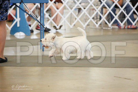 _JJ_8608-DallasJul2014-HR3