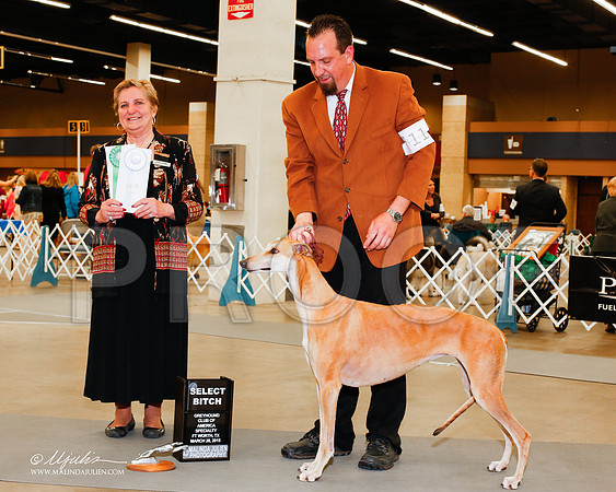 _M3_2067-AddisonHuskyMar2015-HR3
