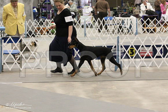 IMG_8864-Abilene2011-HR3