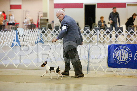 _JJ_1526-AmarilloSept2014-HR3