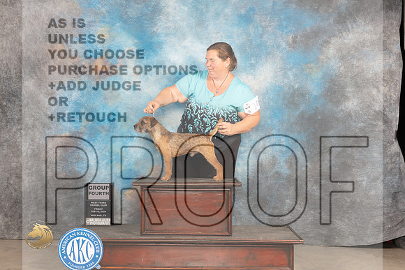 Border Terrier #9 Fri G4 Judge Del Richards_JP_0841_MIDLAND2024_HR3