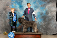 Bouvier #8 Fri G1 Judge Judy Brown