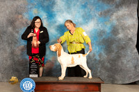 Bracco #8 Fri BBEG2 Judge Sherry Patton