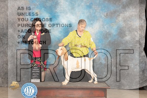 Bracco #8 Fri BBEG2 Judge Sherry Patton_JP_0865_MIDLAND2024_HR3