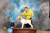 Bracco #8 Fri BOB Judge Carolyn Herbel