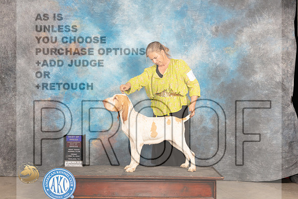 Bracco #8 Fri BOB Judge Carolyn Herbel_JP_0869_MIDLAND2024_HR3