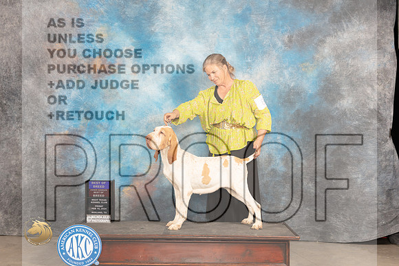 Bracco #8 Fri BOB Judge Carolyn Herbel_JP_0870_MIDLAND2024_HR3