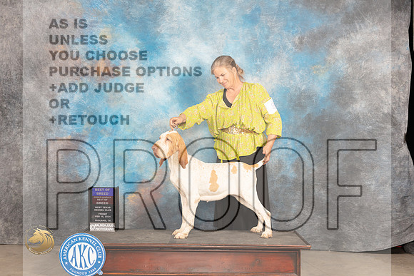 Bracco #8 Fri BOB Judge Carolyn Herbel_JP_0871_MIDLAND2024_HR3