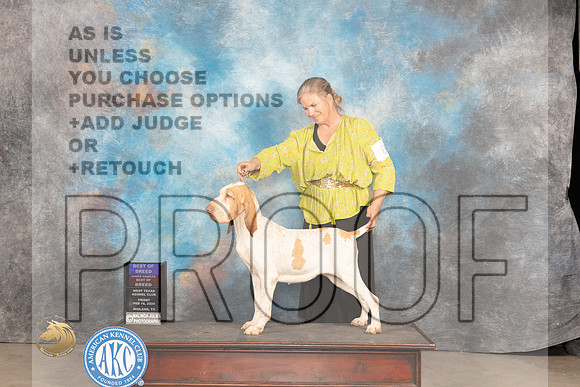 Bracco #8 Fri BOB Judge Carolyn Herbel_JP_0872_MIDLAND2024_HR3