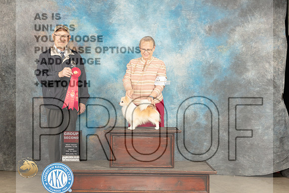 Chihuahua Long Coat #21 Fri G2 Judge Tim Robbins_JP_0805_MIDLAND2024_HR3