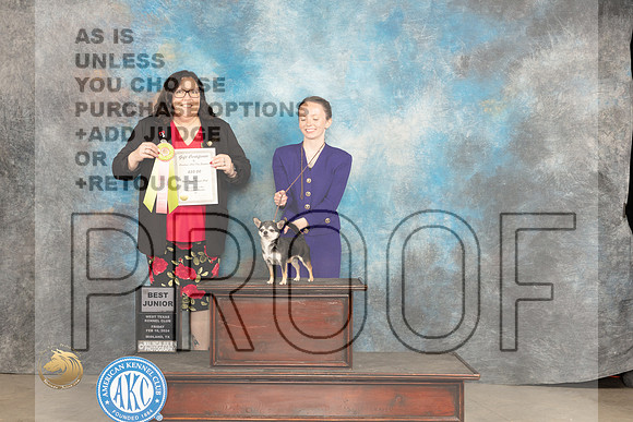 Chihuahua Smooth #? Fri BJr Judge Sherry Patton_JP_0730_MIDLAND2024_HR3