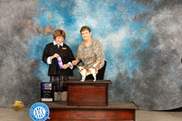 Chihuahua Smooth #22 Fri WBM Judge Donnelle Richards