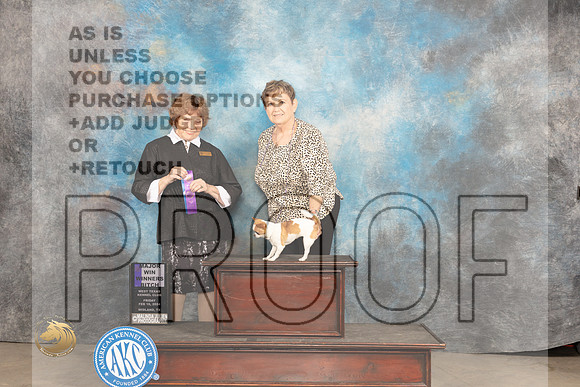 Chihuahua Smooth #22 Fri WBM Judge Donnelle Richards_JP_0663_MIDLAND2024_HR3