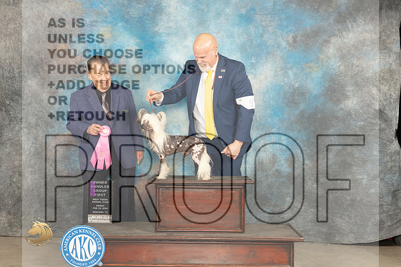 Chinese Crested #5 Fri OHG1 Judge Del Richards_JP_0793_MIDLAND2024_HR3