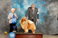 Chow #9 Fri G1 Judge Judy Brown