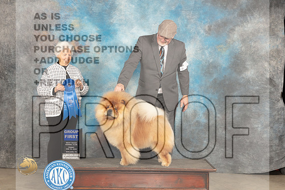 Chow #9 Fri G1 Judge Judy Brown_JP_0760_MIDLAND2024_HR3