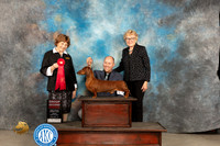 Dachshund #21 Fri G2 Judge Donnelle Richards