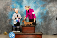 Dachshund Wire #7 Fri BOW Judge Gloria Kerr