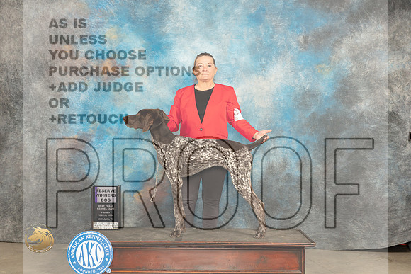 German Shorthaired Pointer #? Fri RWD Judge Judy Brown_JP_0672_MIDLAND2024_HR3