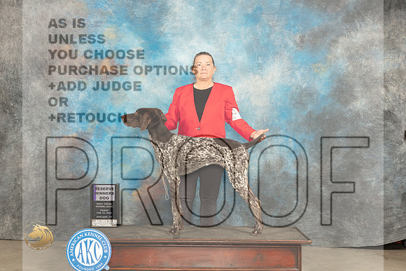 German Shorthaired Pointer #? Fri RWD Judge Judy Brown_JP_0671_MIDLAND2024_HR3
