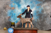 German Shorthaired Pointer #12 Fri G3 Judge Del Richards