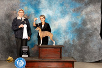 Italian Greyhound #5 Fri G4 Judge Tim Robbins