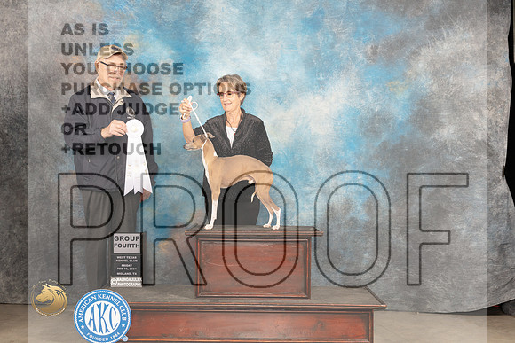 Italian Greyhound #5 Fri G4 Judge Tim Robbins_JP_0800_MIDLAND2024_HR3