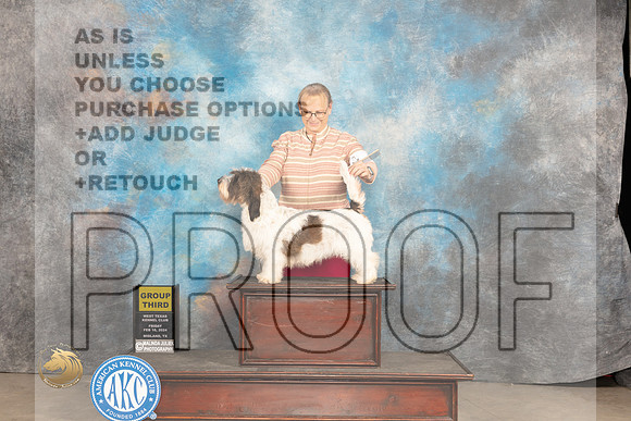 PBGV #6 Fri G3 Judge Donnelle Richards_JP_0807_MIDLAND2024_HR3