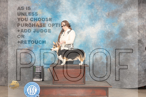 Pembroke Welsh Corgi #11 Fri BBE Judge Carolyn Herbel_JP_0688_MIDLAND2024_HR3