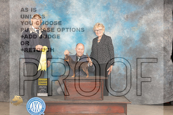 Russian Toy #6 Fri G2 Judge Tim Robbins_JP_0737_MIDLAND2024_HR3
