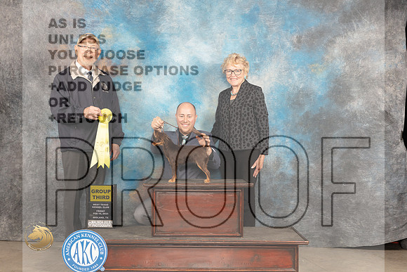 Russian Toy #6 Fri G2 Judge Tim Robbins_JP_0741_MIDLAND2024_HR3