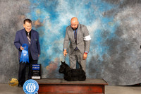 Scottish Terrier #6 Fri G1 Judge Del Richards