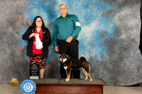 Shiba Inu #5 Fri BBEG4 Judge Sherry Patton