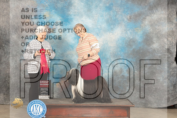 Tibetan Terrier #5 FRi G2 Judge Gloria Kerr_JP_0763_MIDLAND2024_HR3