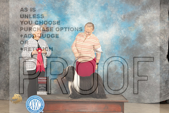 Tibetan Terrier #5 FRi G2 Judge Gloria Kerr_JP_0764_MIDLAND2024_HR3