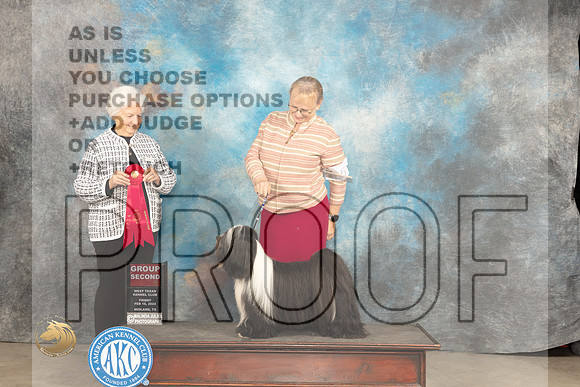 Tibetan Terrier #5 FRi G2 Judge Gloria Kerr_JP_0765_MIDLAND2024_HR3