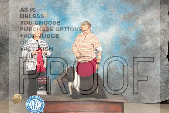 Tibetan Terrier #5 FRi G2 Judge Gloria Kerr_JP_0766_MIDLAND2024_HR3