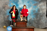 Yorkshire Terrier #9 Fri BBEG2 Judge Sherry Patton