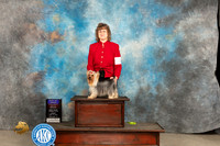 Yorkshire Terrier #9 Fri WBOHBOBOBBBE Judge Tim Robbins BBEG3 Patton
