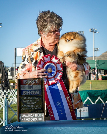 _ST_3601-AlamogordoOct2014-HR3