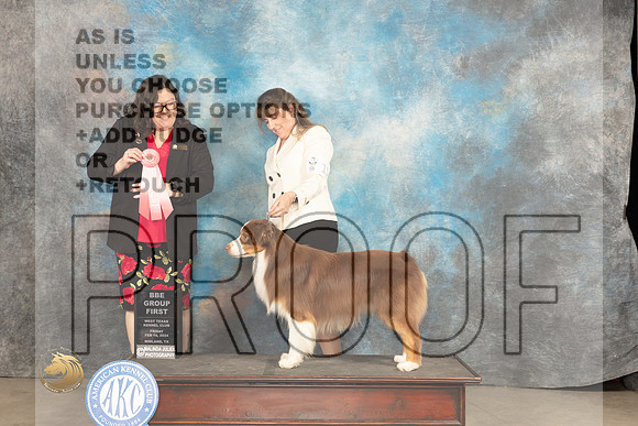 Australian Shepherd #17 Fri BBEG1 Judge Sherry Patton_JP_0970_MIDLAND2024_HR3
